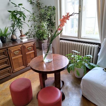 Monica'S House Hostel Βελιγράδι Εξωτερικό φωτογραφία