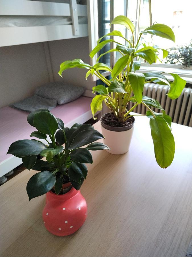 Monica'S House Hostel Βελιγράδι Εξωτερικό φωτογραφία