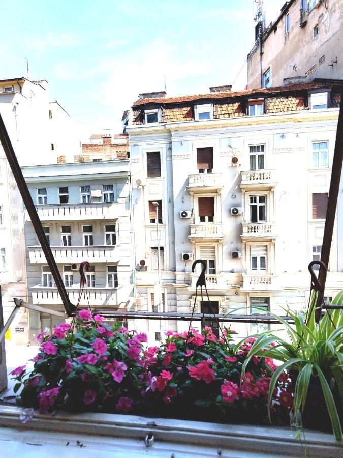 Monica'S House Hostel Βελιγράδι Εξωτερικό φωτογραφία