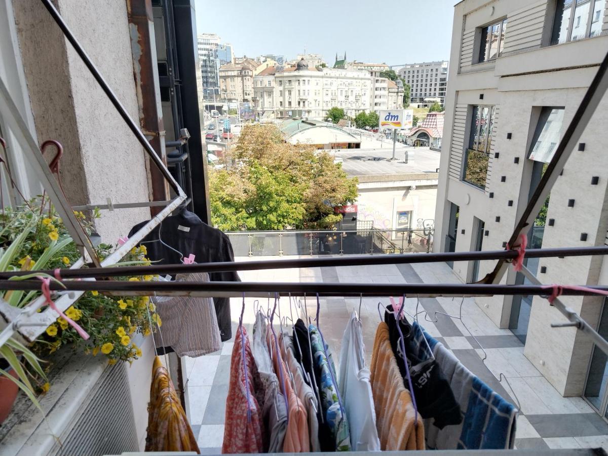 Monica'S House Hostel Βελιγράδι Εξωτερικό φωτογραφία