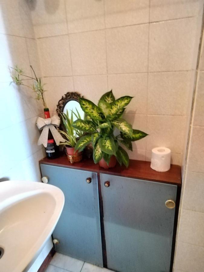 Monica'S House Hostel Βελιγράδι Εξωτερικό φωτογραφία