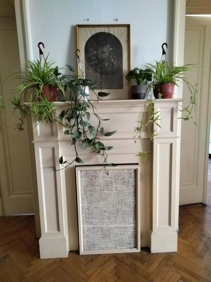 Monica'S House Hostel Βελιγράδι Εξωτερικό φωτογραφία